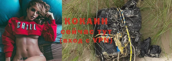 гидра Алзамай